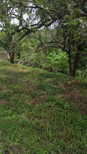 Venta Terreno 2000 M² Col. Tierra Blanca Tuxpan Veracruz.