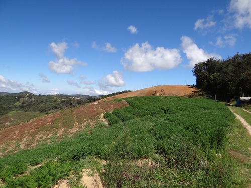 Imagen 3 de 30 de Finca En Venta En Santuario Antioquia Hsz4