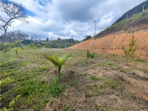 Lote En Rionegro Vereda La Playa
