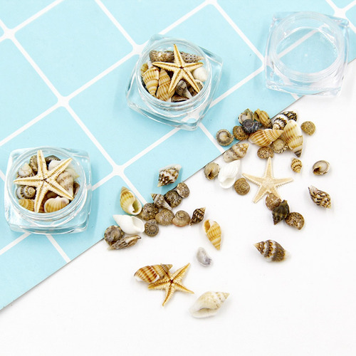 Aro De Uñas Para Decoración Náutica De Estrella De Mar De Co