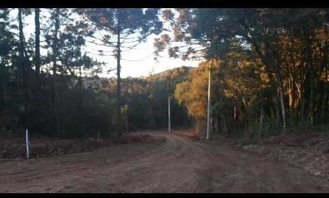 Imagem 10 de 10 de Terreno - Moura - Ref: 3715 - V-gi3721