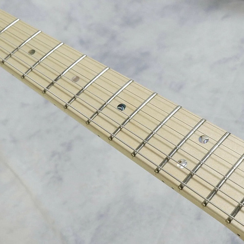 Fender Richie Kotzen Telecaster