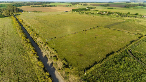 Imagen 3 de 14 de Venta De Amplio Lote En El Paraíso