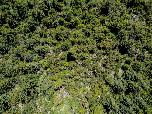 Terreno Fraccion  En Venta En Cerro Otto, Bariloche, Patagonia