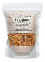 Comprar Sea Moss Musgo Marino Musgo Irlandés 100% Silvestre 227gr