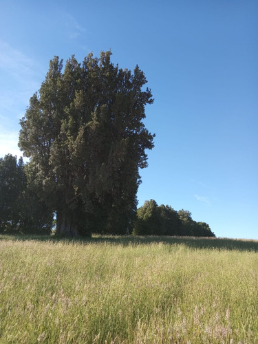 Parcela En Fresia, Llico, Sector Las Cuyas