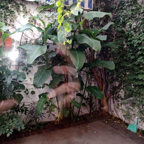 Excelente Propiedad Con Local En Muy Buena Zona!!!