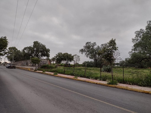 Terreno 100,000m2 En Venta Cerquísima Aifa