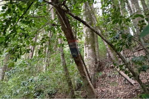 Venta Parcela Pucón Con Acceso A Rio Carhuello
