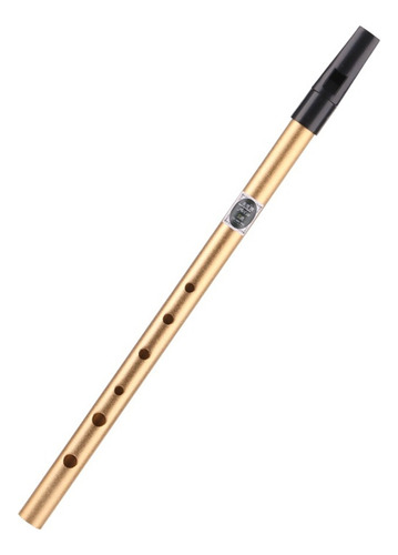 Instrumento De Flauta Irish Whistle De 6 Agujeros En Clave C
