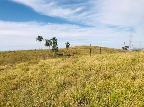 Imagem 30 de 30 de L12 Garanta 1000m² Em Santa Isabel Lotes Perto Da Natureza