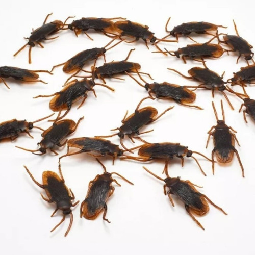 Veneno, Mata Cucarachas 100% Efectivo Pack 12 Unidades