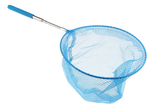 / 2 Rede Líquida Do Inseto Da Borboleta Azul Como Descrito