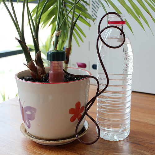 Espigas De Riego Automático For Interiores Y Plantas, Paque