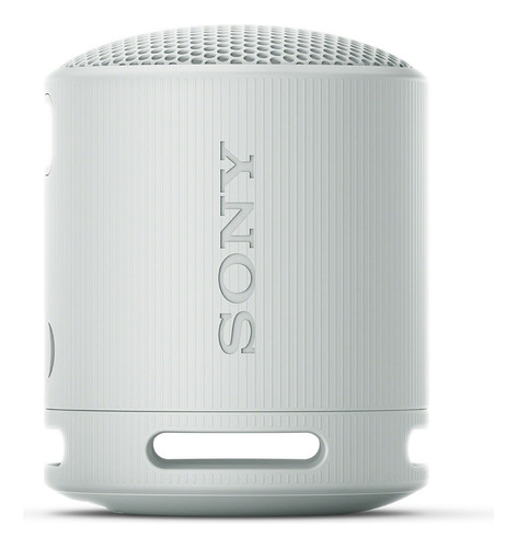 Alto-falante portátil Sony Extra Bass com Bluetooth SRS-xb100 cinza cor 5