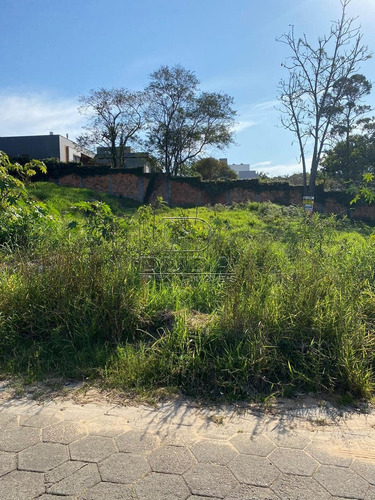 Imagem 2 de 5 de Terreno - Bosque Do Repouso - Ref: 22503 - V-22503