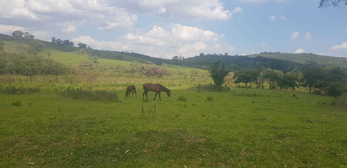 Imagem 6 de 14 de Terrenos De 1000m² A 3000m² A Partir De R$ 49.999 À Vista
