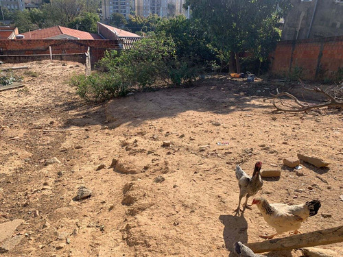 Imagem 2 de 4 de Terreno À Venda, 280 M² Por R$ 185.000,00 - Parque Santa Bárbara - Campinas/sp - Te0202