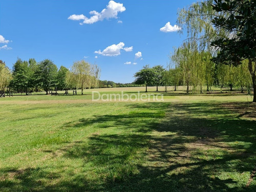 Imagen 14 de 30 de Campo En Venta - General Rodríguez - G.b.a. Zona Oeste