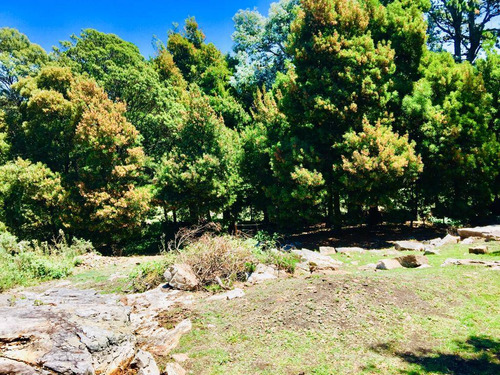 Terreno En Sierra De Los Padres Id 3089