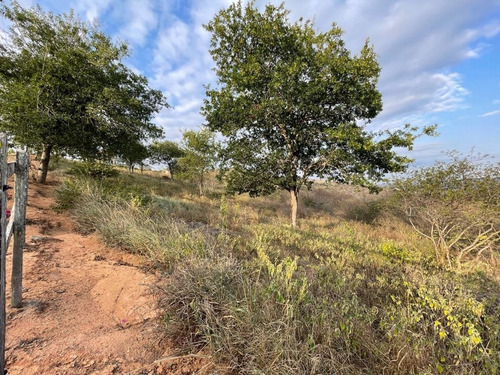 Imagem 4 de 19 de Lote De Alto Padrão No Condomínio Serra Do Maroto, À Venda - Gravatá/pe - Te0518