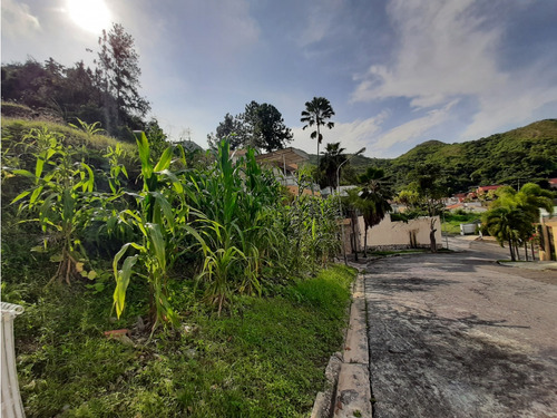 Terreno En Venta En El Parral Dv-6963216