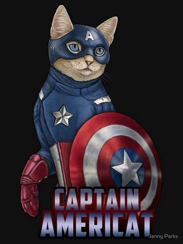 Imagem 1 de 1 de Gato America