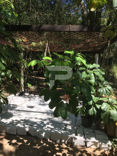Imagem 7 de 24 de Chácara À Venda Em Joapiranga - Ch001849