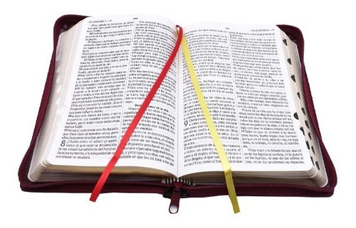 Imagen 2 de 3 de Biblia Reina Valera 1960 Letra Grande Cierre Indice Piel
