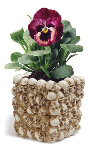 Maceta Mediana Con Forma De, Maceta For El Hogar, Florero