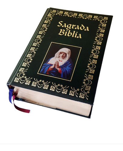 Sagrada Biblia. Traducido Por El P. Petisco, S.j.