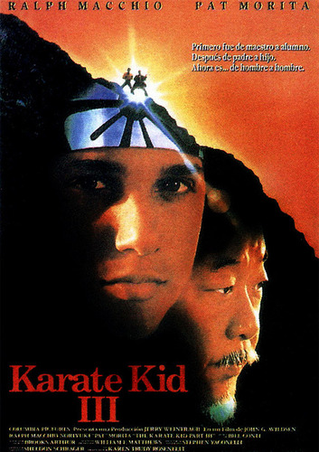 Dvd The Karate Kid Iii | El Karate Kid 3 (1989)