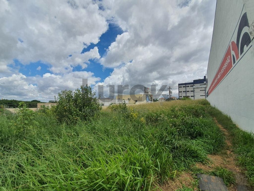 Imagem 5 de 10 de Terreno À Venda Em Loteamento Remanso Campineiro - Te001654