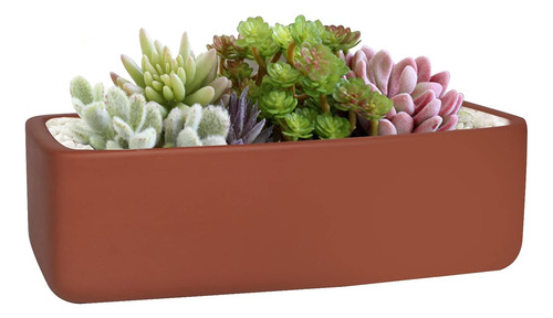 Maceta Rectangular De Terracota Poco Profunda De 10 Pulgadas