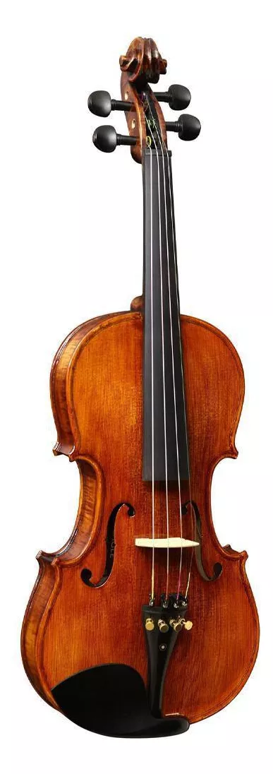 Primeira imagem para pesquisa de violino profissional