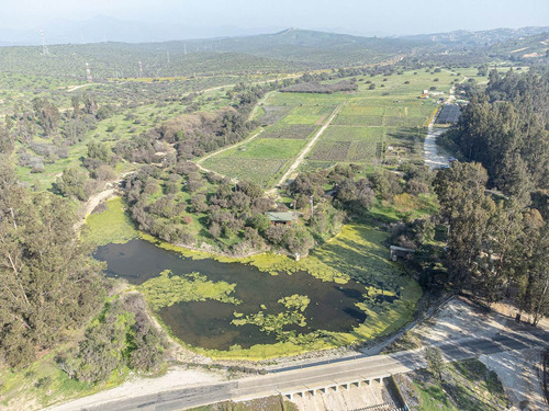 Imagen 10 de 44 de Hacienda Los Aromos