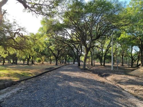 Imagen 3 de 13 de Terreno De 3962 M2 En Bosque Encantado