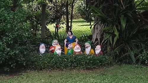 Imagem 14 de 30 de Rural Para Venda, 3 Dormitórios, Biritiba Mirim - Biritiba-mirim - 3942