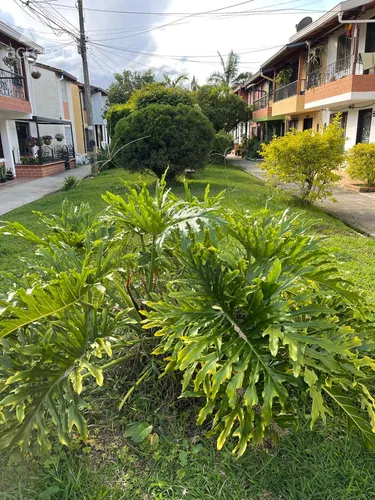 Vendo Casa En Rionegro
