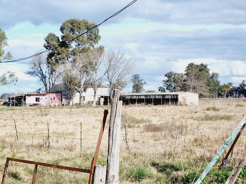 Imagen 13 de 24 de Venta De Campo De 2 Hectáreas En Guernica