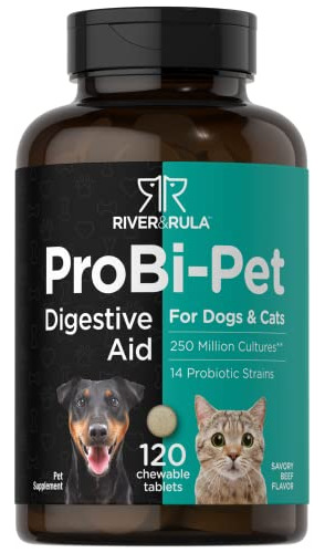 Probióticos Para Perros Amp; Gatos Ten 120 Ccjrz