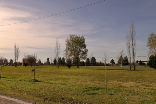 Imagen 11 de 16 de Terreno Pinares Del Sur