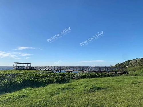 Chacra En Venta Laguna Del Sauce, 5 Casas Con Costa