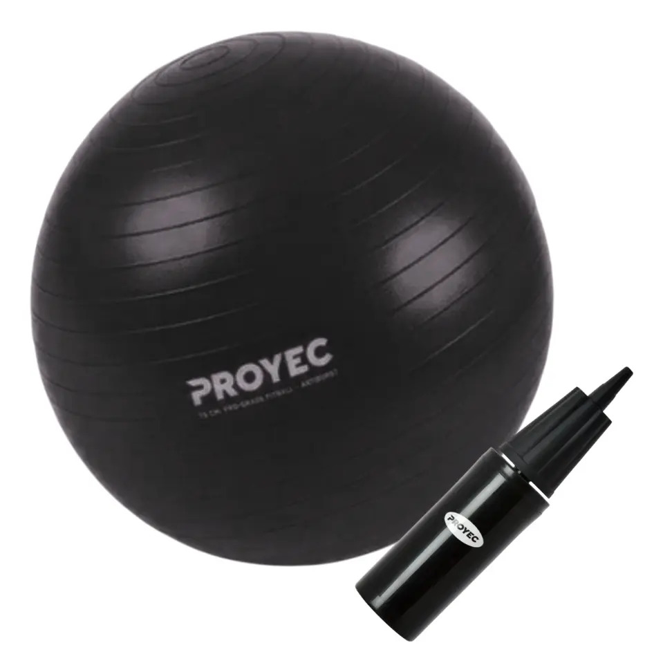 Pelota Yoga Esferodinamia Suiza 75 Cm Proyec + Inflador Color Negro