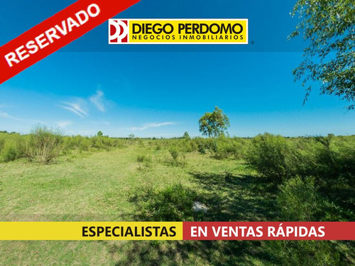 Chacra De 5 Ha, En Venta, Ciudad Del Plata