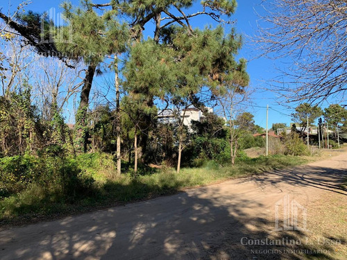 Imagen 9 de 15 de Lote Venta - En Ostende - A 200 Metros Del Mar
