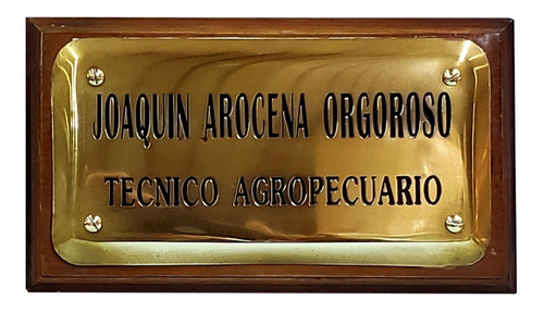 Placa Profesional Bombé De Bronce - Chapa Personalizada