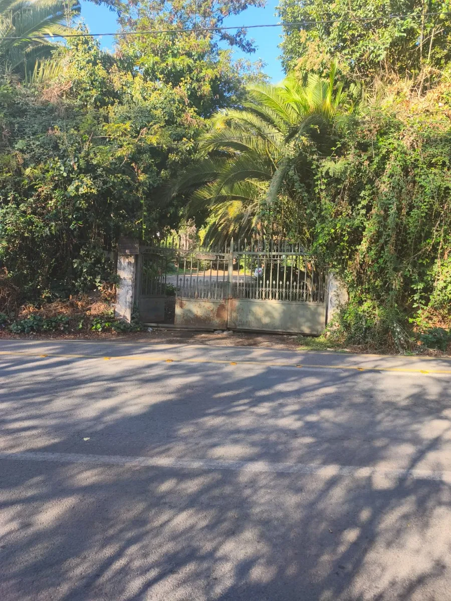 Imagen 1 de 30 de Casa En Pequeña Parcela, Jardín Formado, Talagante