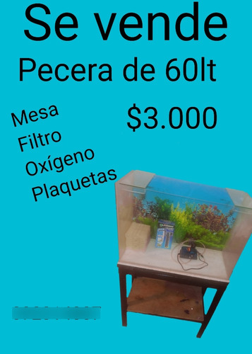 Se Vende Pecera 