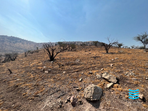 Rebajado !!!! Gran Terreno La Pedregosa La Reserva - 1130m2